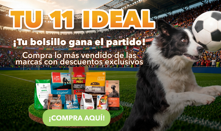 Tu Once Ideal